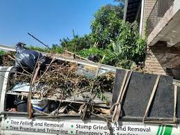 Best Garage Cleanout  in Willard, UT